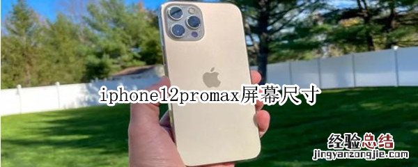 iphone12promax屏幕尺寸