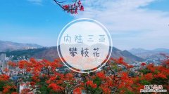 攀枝花有哪些旅游景点