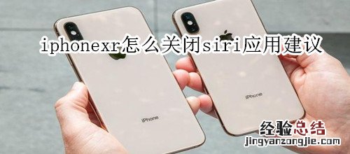 iphonexr怎么关闭siri应用建议