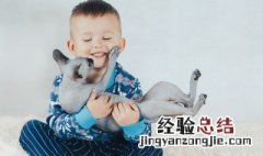 家里有小孩可以养猫吗 家里有小孩可以养猫吗猫咪老是掉毛有影响