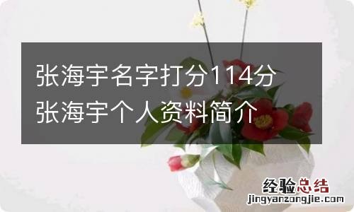 张海宇名字打分114分 张海宇个人资料简介