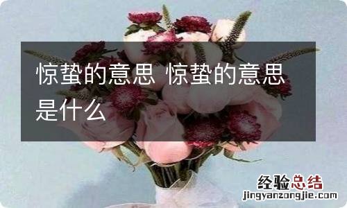 惊蛰的意思 惊蛰的意思是什么