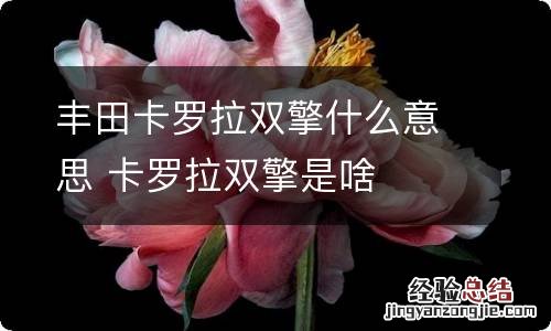 丰田卡罗拉双擎什么意思 卡罗拉双擎是啥