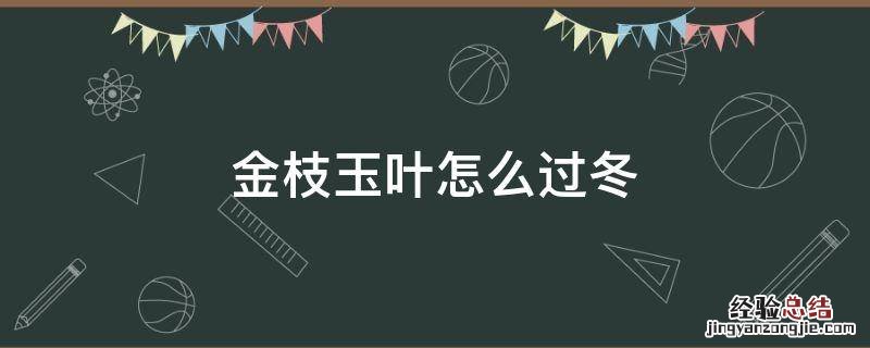 金枝玉叶怎么过冬