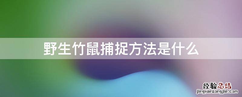 野生竹鼠捕捉方法是什么