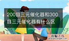 200目三元催化器和300目三元催化器有什么区别