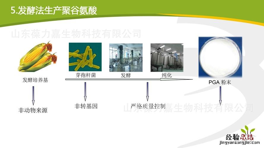 氢键是什么