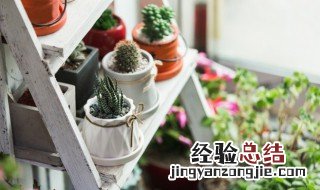 盆栽泥土有虫子怎么办 盆栽泥土有虫子怎么办?用什么能彻底消灭?