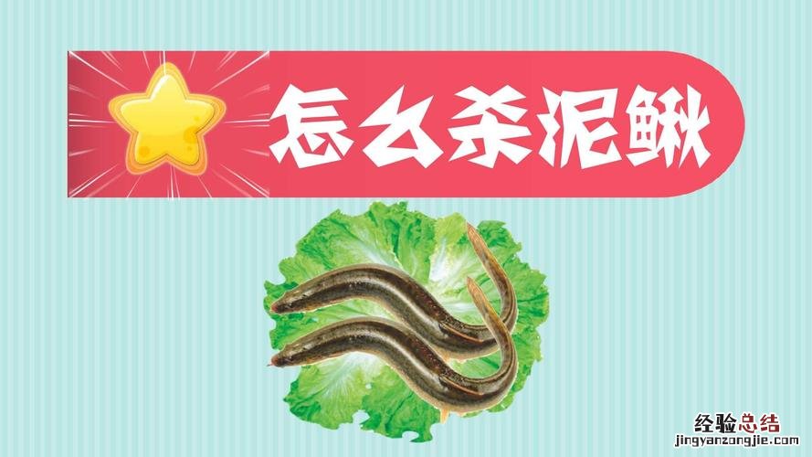 泥鳅一般要怎样杀啊