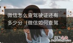 微信如何查驾驶证还有多少分 微信怎么查驾驶证还有多少分