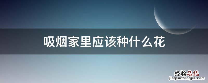 吸烟家里应该种什么花