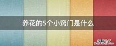 养花的5个小窍门是什么