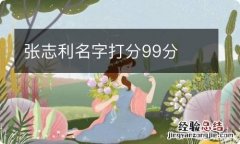 张志利名字打分99分