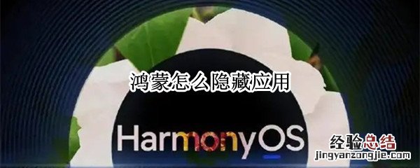 鸿蒙怎么隐藏应用