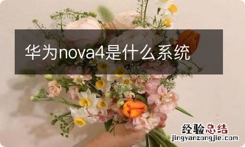 华为nova4是什么系统