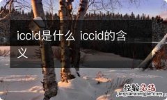 iccid是什么 iccid的含义