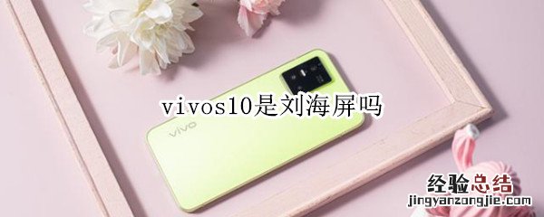 vivos10是刘海屏吗