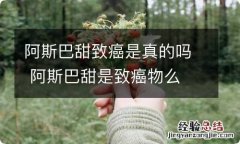 阿斯巴甜致癌是真的吗 阿斯巴甜是致癌物么