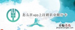 怎么在app上注销农业银行卡