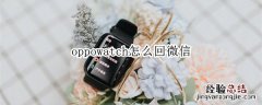 oppowatch怎么回微信