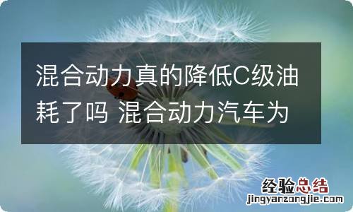 混合动力真的降低C级油耗了吗 混合动力汽车为什么油耗低