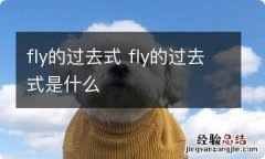 fly的过去式 fly的过去式是什么