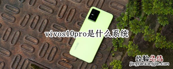 vivos10pro是什么系统