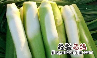 茭白里面的黑点是什么图 茭白里面的黑点是什么?