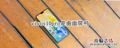 vivos10pro是曲面屏吗