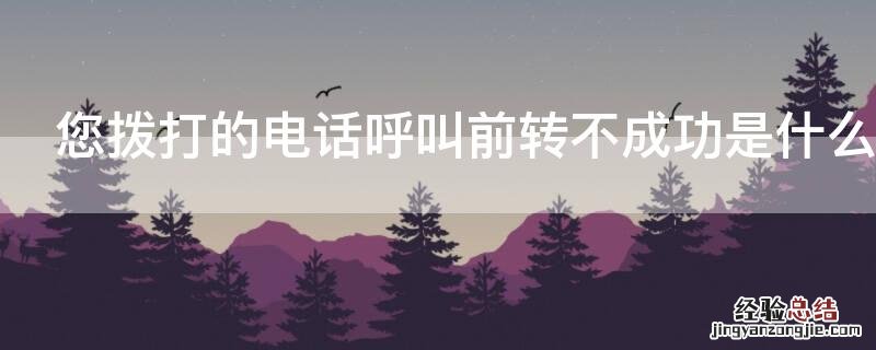 您拨打的电话呼叫前转不成功是什么意思