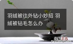 羽绒被往外钻小妙招 羽绒被钻毛怎么办