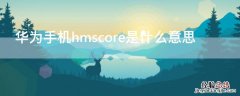 华为手机hmscore是什么意思