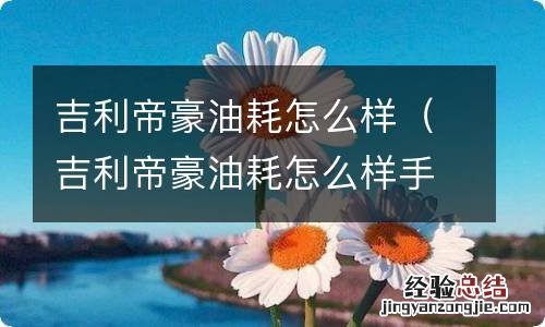 吉利帝豪油耗怎么样手动挡 吉利帝豪油耗怎么样