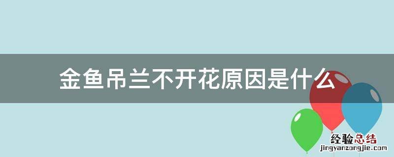 金鱼吊兰不开花原因是什么