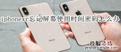 iphonexr忘记屏幕使用时间密码怎么办