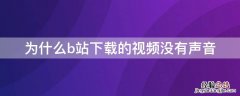 为什么在b站下载的视频没有声音 为什么b站下载的视频没有声音