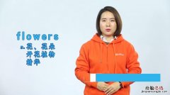 flowers是什么意思