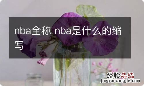 nba全称 nba是什么的缩写