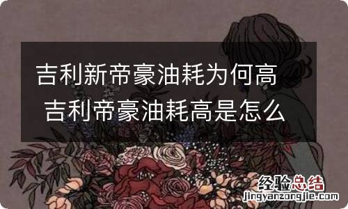 吉利新帝豪油耗为何高 吉利帝豪油耗高是怎么回事