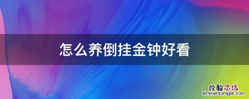 怎么养倒挂金钟好看