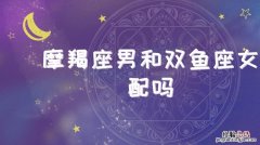 摩羯女和什么星座男最配