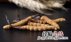 鲜冬虫夏草保存方法 鲜冬虫夏草怎么保存方法