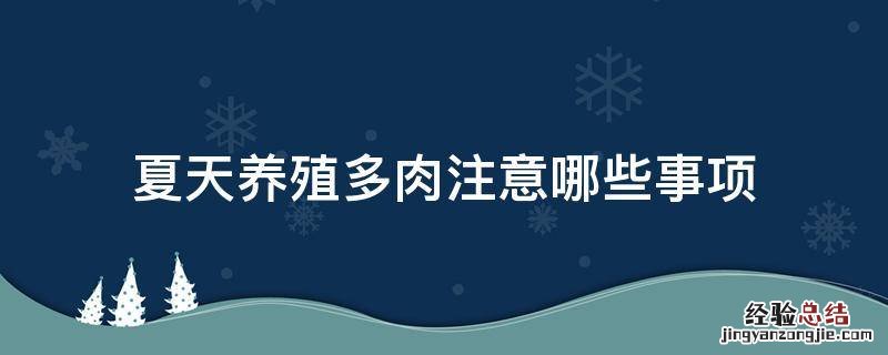 夏天养殖多肉注意哪些事项