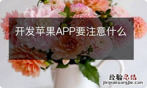 开发苹果APP要注意什么