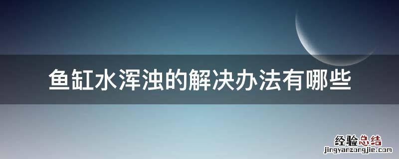 鱼缸水浑浊的解决办法有哪些