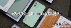 怎么取消apple music自动续费