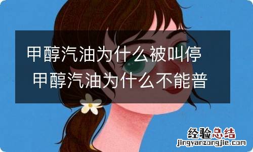 甲醇汽油为什么被叫停 甲醇汽油为什么不能普及