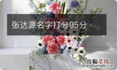 张达源名字打分95分