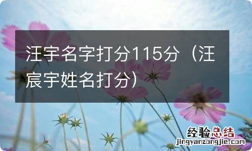 汪宸宇姓名打分 汪宇名字打分115分