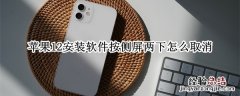 苹果12安装软件按侧屏两下怎么取消